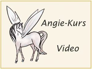 Angie-Kurs-Video-Reiterferien