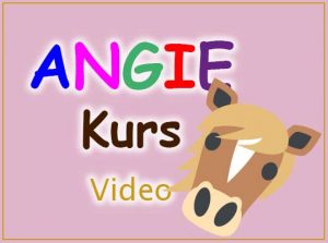 Reitkurs-fuer-kinder-und-jugendliche-reitkurs-jugendliche-Angie-Kurs-Video